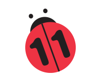 img of N11