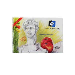 ALEX - ALEX 25x35 25 YP PP KAPAK RESİM DEFTERİ ALX-816