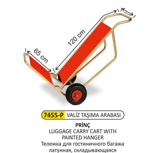 Arı Metal 7455P Katlanır Valiz Taşıma Prinç