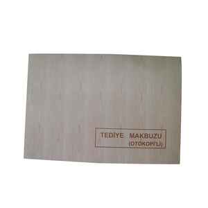 DİLMAN - DİLMAN TEDİYE MAKBUZU 2/50 3 N OTOKOPİLİ