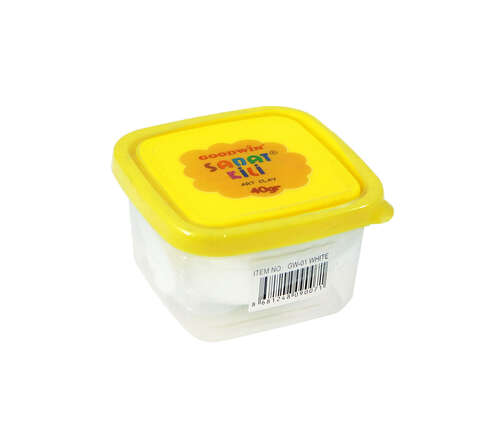 GOODWİN SANAT KİLİ BEYAZ 40 gr.GW-01