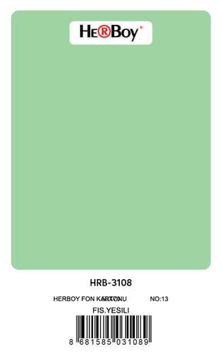 HERBOY HRB3108 FON KARTONU 50x70 FISTIK YEŞİL 160 GR NO:13 100 LÜ