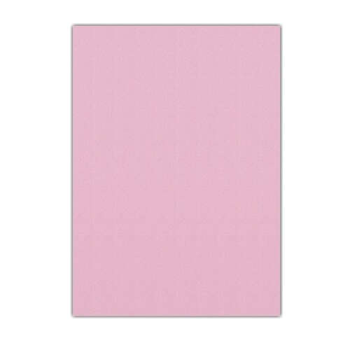 LINO EVA 50x70 PEMBE 10 LU RBE-623