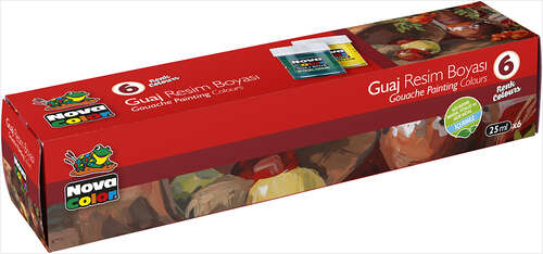 NOVA COLOR 6 RENK GUAJ BOYA ŞİŞE NC-113