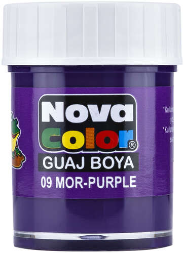 NOVA COLOR GUAJ BOYA MOR ŞİŞE NC-111