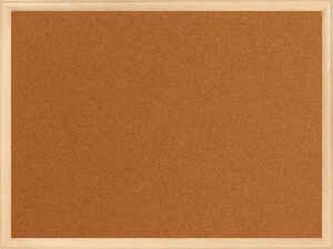 PANDA - PANDA 45x60 MANTAR PANO AHŞAP ÇERÇEVELİ PAN-115