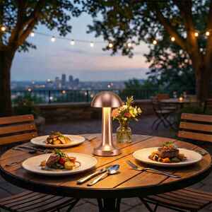 PANTHER PT-700 ROSE USB ŞARJLI MASA LAMBASI - Thumbnail (2)