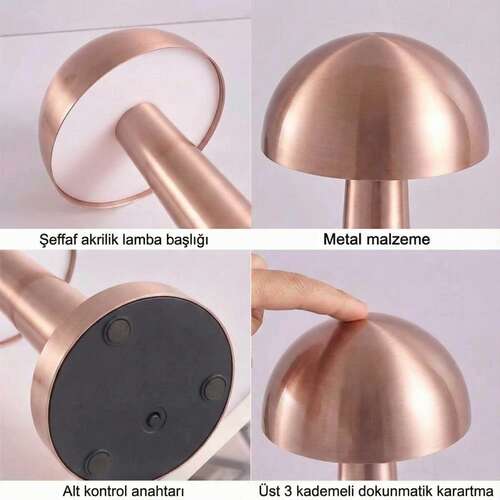 PANTHER PT-700 ROSE USB ŞARJLI MASA LAMBASI